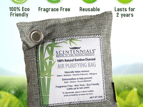 Bamboo Air Purifying Bag, Canada - Shop online
