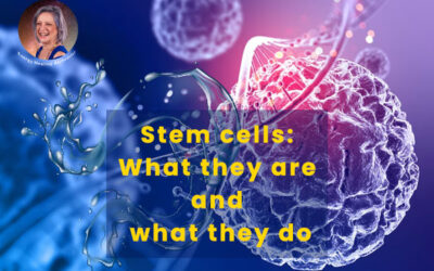 Stem cells: What they are and what they do