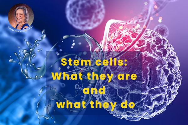 Stem Cells what they are and what they do